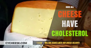 Does All Cheese Have Cholesterol? Uncovering the Truth About Dairy