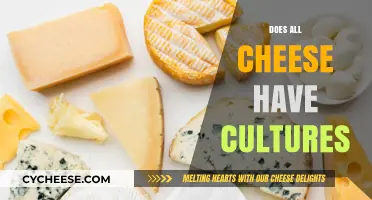 Do All Cheeses Contain Cultures? Unraveling the Dairy Mystery