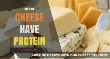 Does All Cheese Have Protein? Uncovering Nutritional Facts and Myths