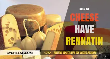 Does All Cheese Contain Rennet? Unraveling the Truth About Rennin