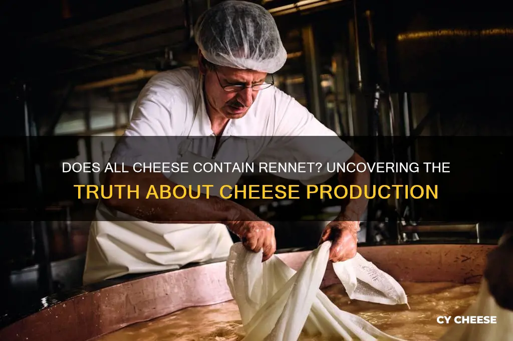 does all cheese have rennet