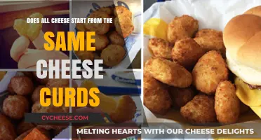 Do All Cheeses Begin with the Same Curds? Unraveling Dairy Myths