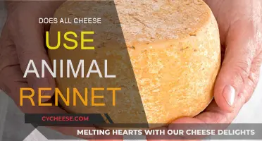 Cheese Rennet: Animal-Based or Not?