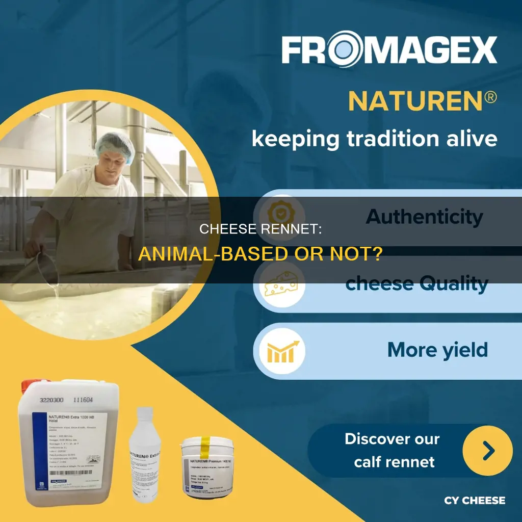 does all cheese use animal rennet