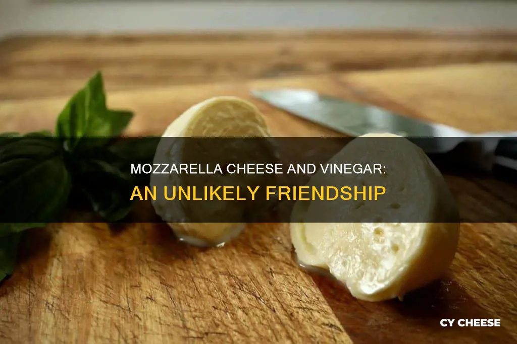 does all mozzarella cheese made with vinegar