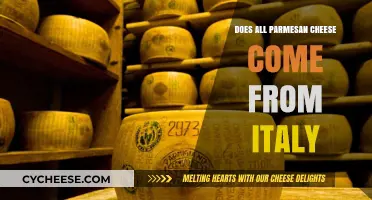Parmesan Cheese: Italian-Made or Not?