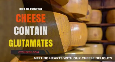 Parmesan Cheese and Glutamates: What's the Connection?