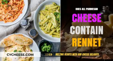 Parmesan Cheese: Rennet-Free Options Exist