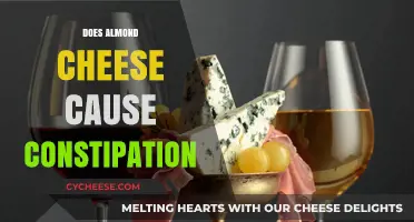 Almond Cheese and Constipation: Debunking Myths and Understanding Digestive Health