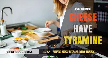 Does American Cheese Contain Tyramine? Uncovering the Facts for You