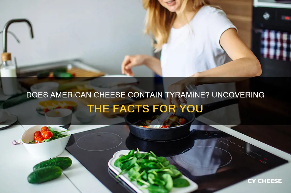 does amerian cheese have tyramine