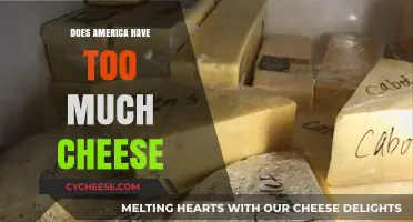 America's Cheese Surplus: Blessing or Burden for Consumers?