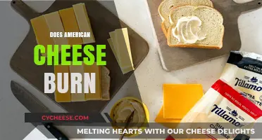 Does American Cheese Burn? Unraveling the Melting Mystery in Cooking