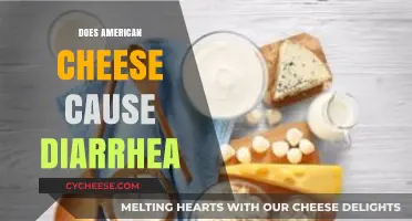 Can American Cheese Trigger Diarrhea? Uncovering the Digestive Truth
