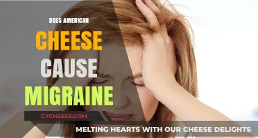 American Cheese and Migraines: Unraveling the Potential Trigger Connection