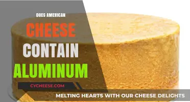 Does American Cheese Contain Aluminum? Uncovering the Truth Behind the Myth