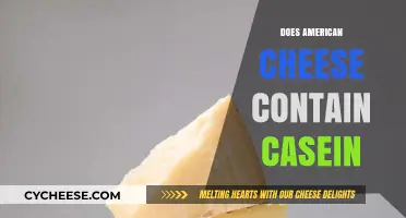 Does American Cheese Contain Casein? Uncovering the Truth