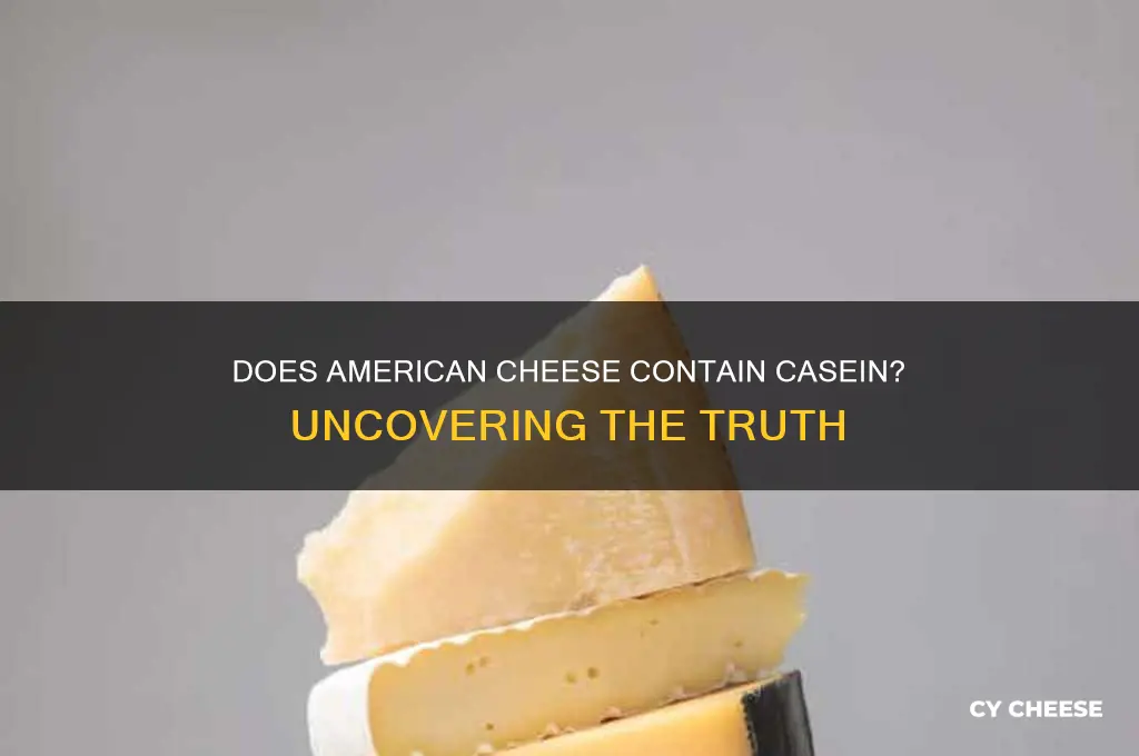 does american cheese contain casein