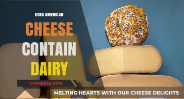 Is American Cheese Dairy-Free? Unraveling the Truth About Its Ingredients