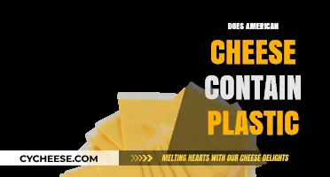 Is American Cheese Plastic? Uncovering the Truth Behind the Myth
