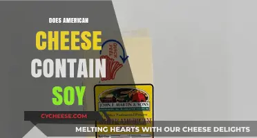 Does American Cheese Contain Soy? Uncovering Ingredients and Allergen Concerns