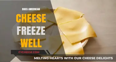 Can American Cheese Be Frozen? Tips for Preserving Its Quality