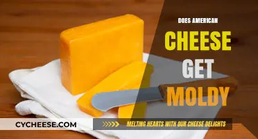 American Cheese and Mold: What's the Deal?