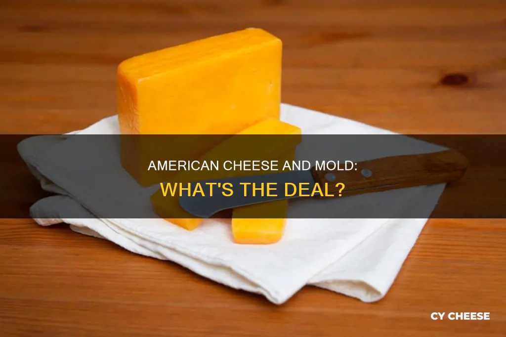 does american cheese get moldy