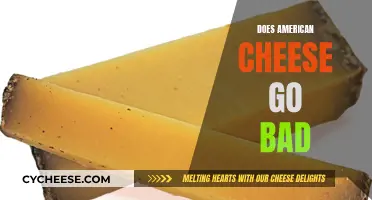 American Cheese: Does it Go Bad?