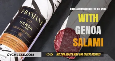 American Cheese and Genoa Salami: A Perfect Pairing or Not?