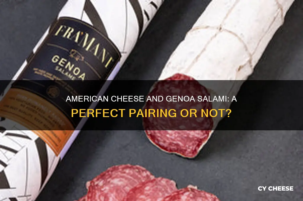 does american cheese go well with genoa salami