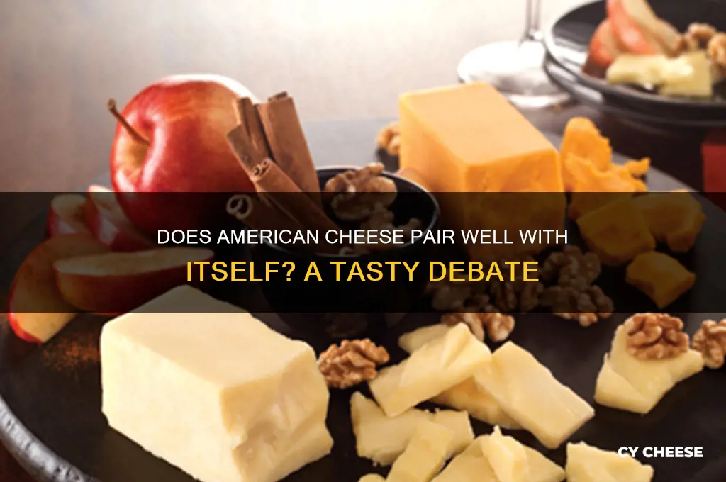does american cheese go with does american cheese go with