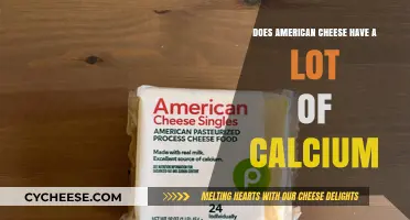 American Cheese Calcium Content: How Much Does It Really Provide?