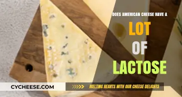 Is American Cheese Lactose-Friendly? Uncovering Its Dairy Content