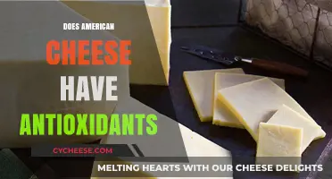 Does American Cheese Contain Antioxidants? Uncovering the Surprising Truth