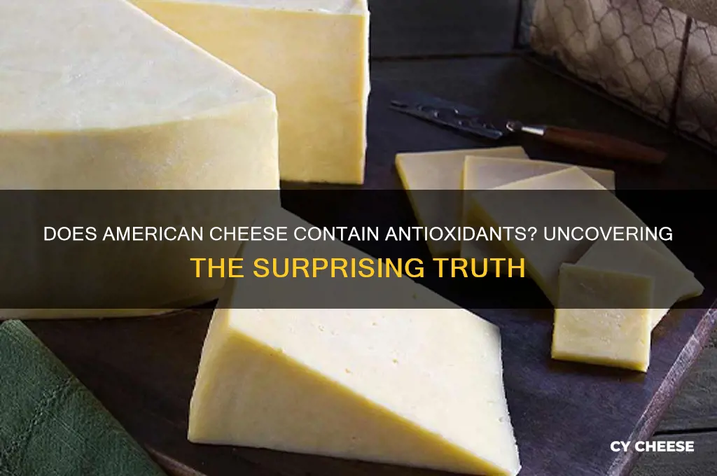 does american cheese have antioxidants