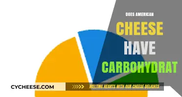 Does American Cheese Contain Carbs? Unraveling the Carbohydrate Mystery