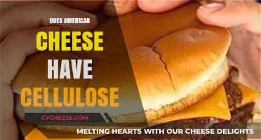 Does American Cheese Contain Cellulose? Uncovering the Truth Behind the Slice