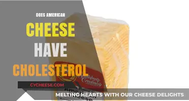 American Cheese and Cholesterol: What You Need to Know
