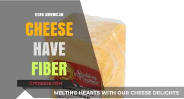 Does American Cheese Contain Fiber? Uncovering Nutritional Facts and Myths