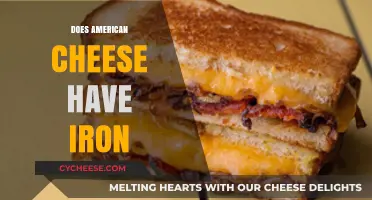 Does American Cheese Contain Iron? Nutritional Facts Revealed
