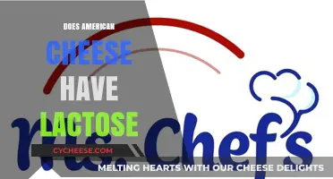 Does American Cheese Contain Lactose? Unraveling the Dairy Dilemma