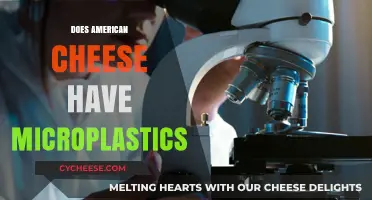 Microplastics in American Cheese: Uncovering the Truth Behind Your Slice