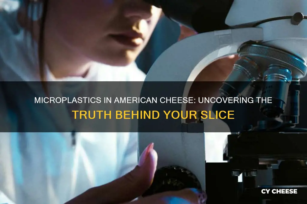 does american cheese have microplastics