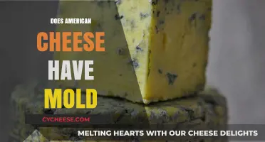 Does American Cheese Have Mold? Uncovering the Truth Behind the Slices