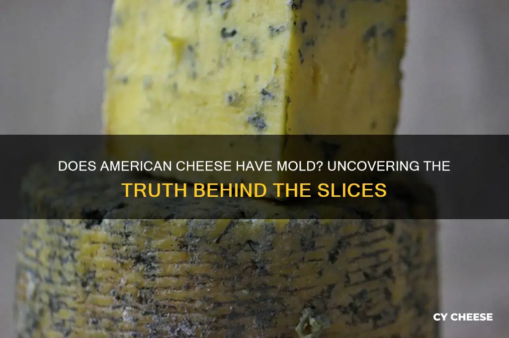 does american cheese have mold