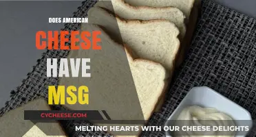 Does American Cheese Contain MSG? Uncovering the Truth Behind the Label