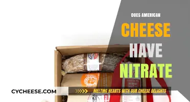 Does American Cheese Contain Nitrates? Uncovering the Truth
