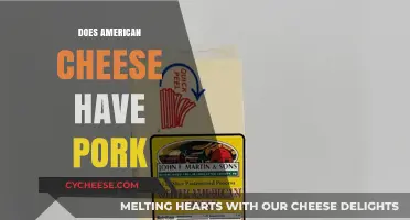 Does American Cheese Contain Pork? Unraveling the Ingredients Mystery