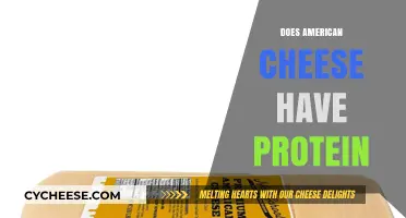 Does American Cheese Have Protein? Uncovering Nutritional Facts and Benefits